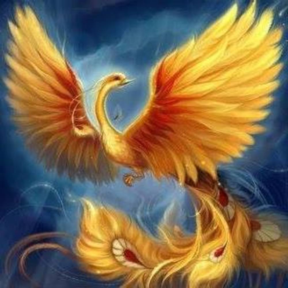 Meet your Posher, Liette